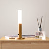 Motion Sensing Torch Magnetic Light