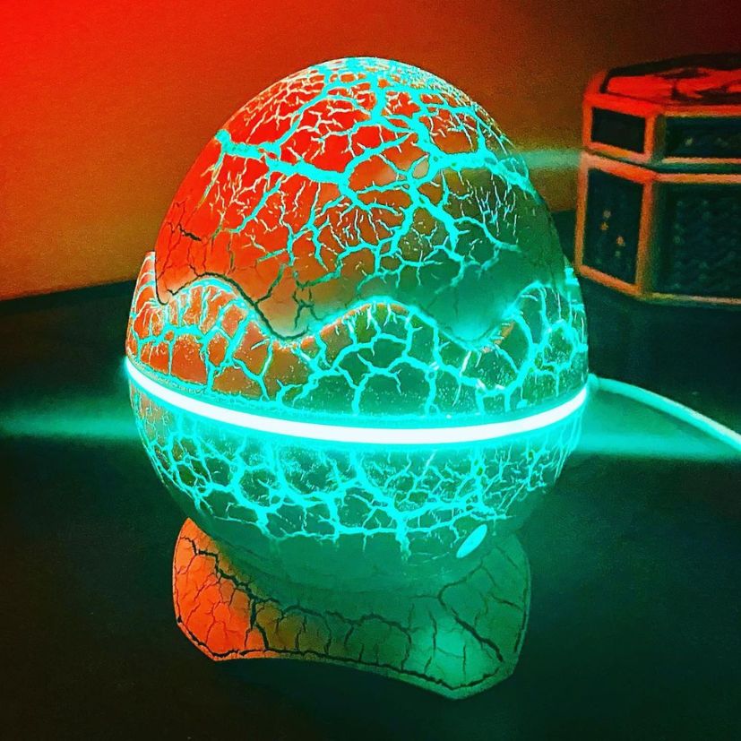 EggVision Projector