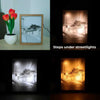 Luminous Artwork - Transform Painting Into Nightlight